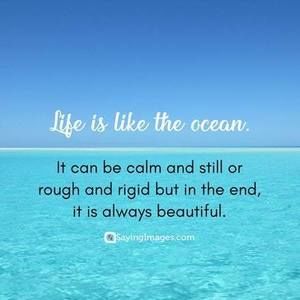 Meet your Posher, Kathleen beveridge